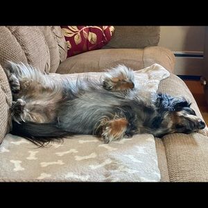 Meet your Posher, Greg